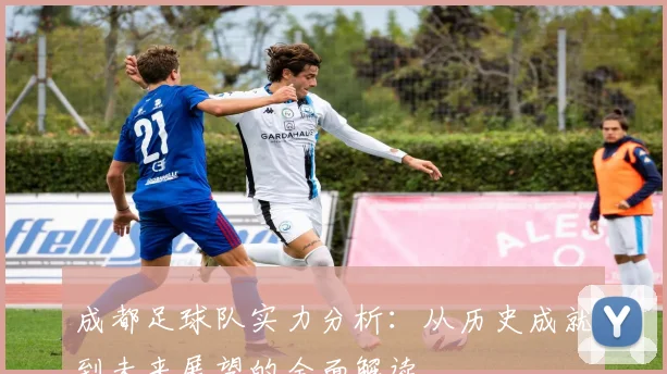 成都足球队实力分析：从历史成就到未来展望的全面解读