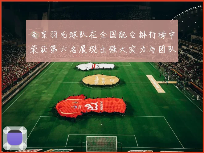 南京羽毛球队在全国配合排行榜中荣获第六名展现出强大实力与团队合作精神