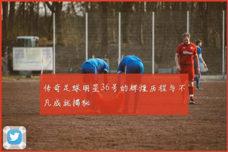 传奇足球明星36号的辉煌历程与不凡成就揭秘