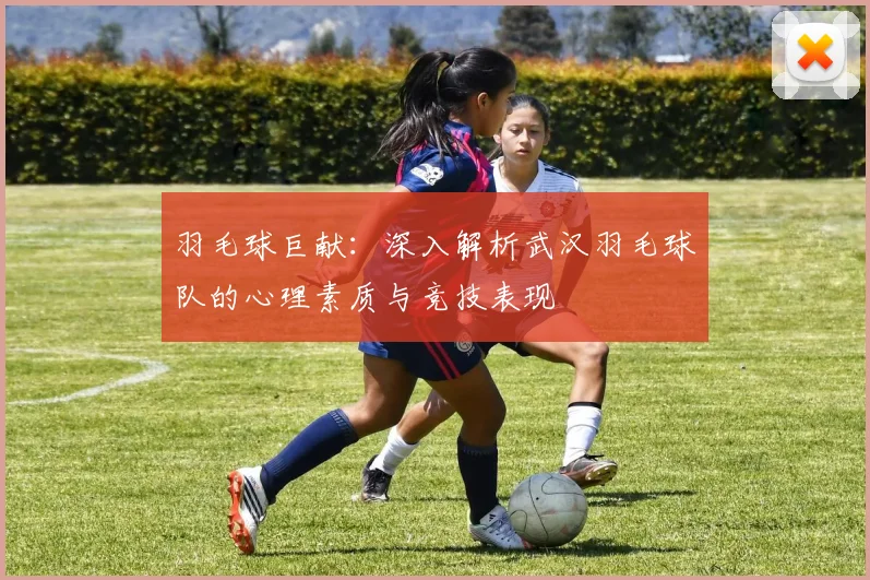 羽毛球巨献：深入解析武汉羽毛球队的心理素质与竞技表现