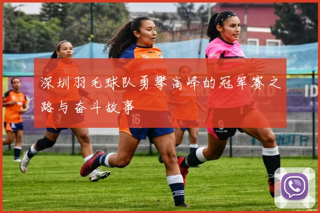 深圳羽毛球队勇攀高峰的冠军赛之路与奋斗故事