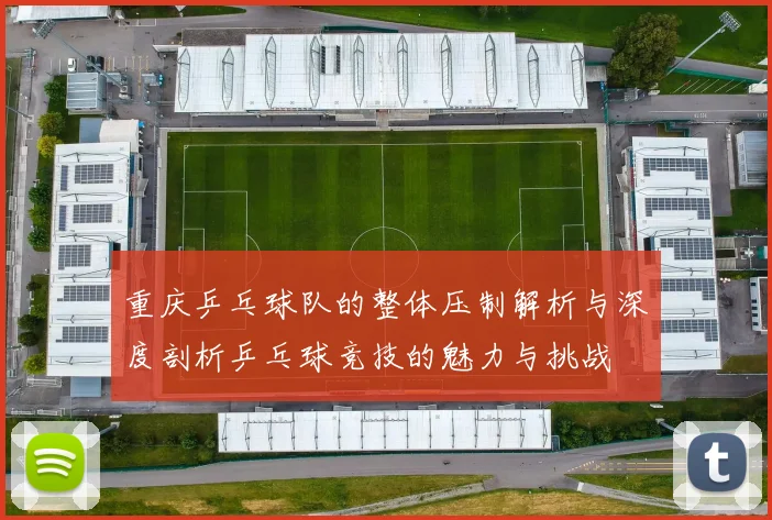 重庆乒乓球队的整体压制解析与深度剖析乒乓球竞技的魅力与挑战