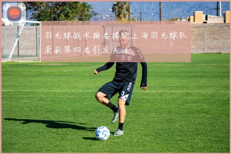 羽毛球战术排名揭晓上海羽毛球队荣获第四名引发关注