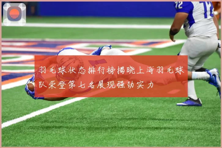 羽毛球状态排行榜揭晓上海羽毛球队荣登第七名展现强劲实力