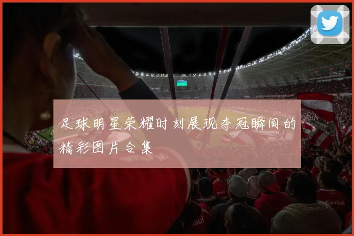 足球明星荣耀时刻展现夺冠瞬间的精彩图片合集
