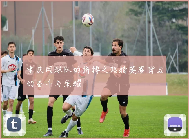 重庆网球队的拼搏之路精英赛背后的奋斗与荣耀