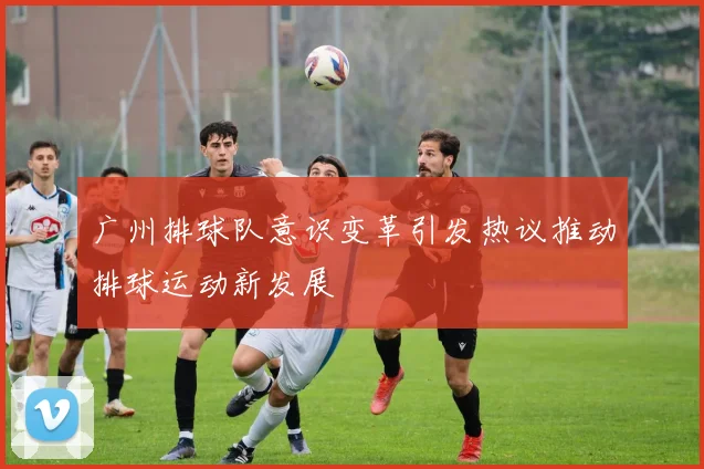 广州排球队意识变革引发热议推动排球运动新发展