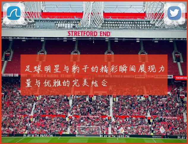 足球明星与豹子的精彩瞬间展现力量与优雅的完美结合