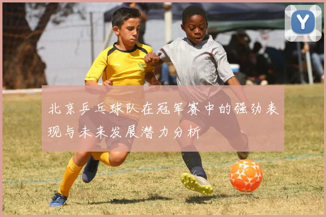 北京乒乓球队在冠军赛中的强劲表现与未来发展潜力分析