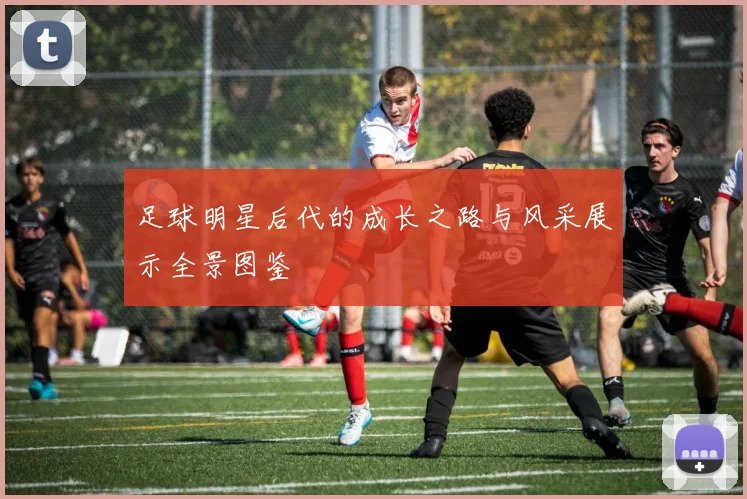 足球明星后代的成长之路与风采展示全景图鉴