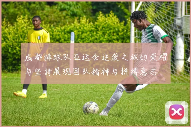 成都排球队亚运会逆袭之旅的荣耀与坚持展现团队精神与拼搏意志