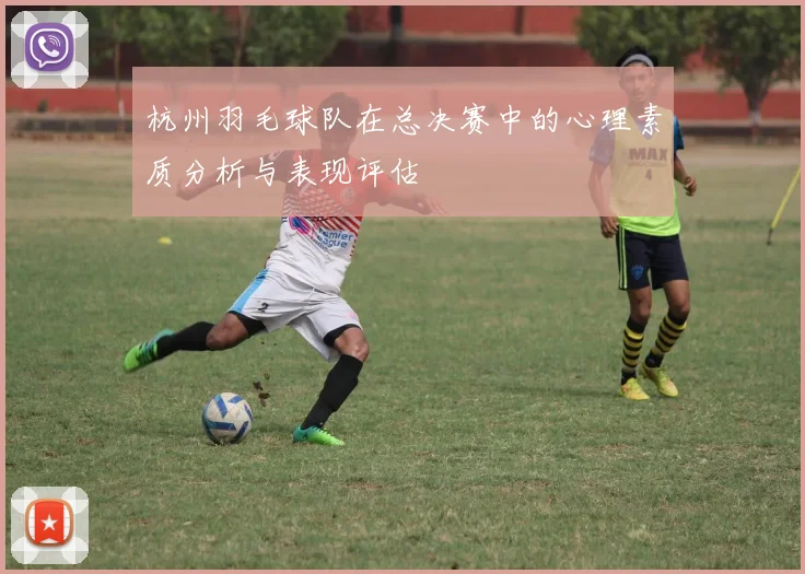 杭州羽毛球队在总决赛中的心理素质分析与表现评估