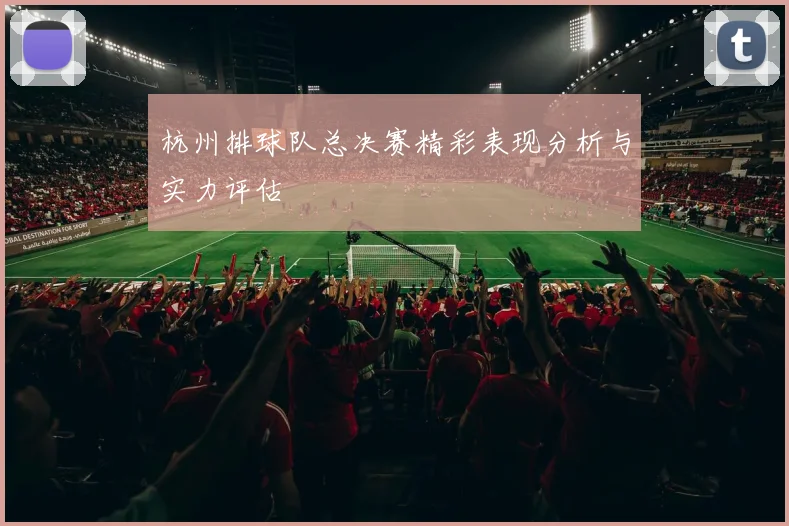 杭州排球队总决赛精彩表现分析与实力评估