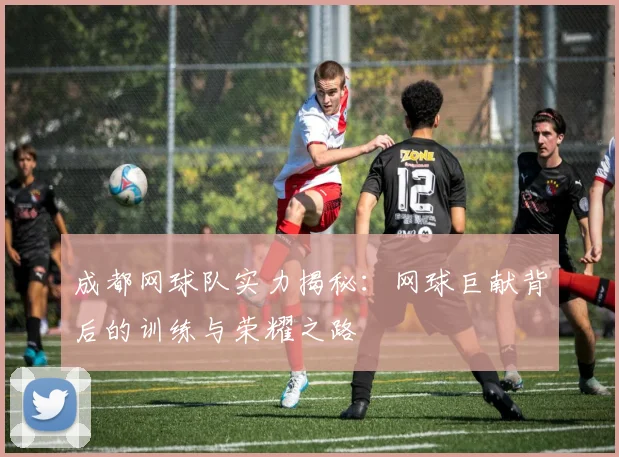 成都网球队实力揭秘：网球巨献背后的训练与荣耀之路