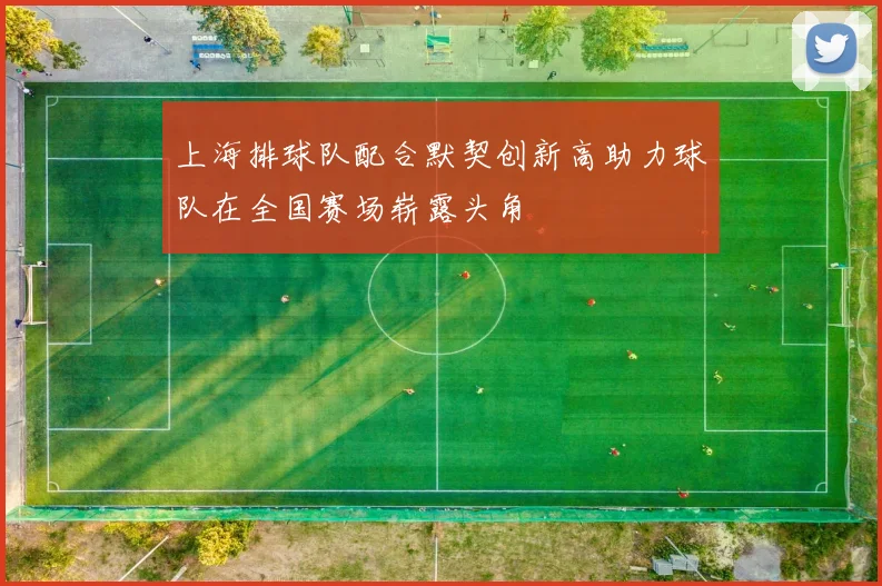 上海排球队配合默契创新高助力球队在全国赛场崭露头角